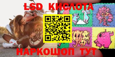 бошки Будённовск