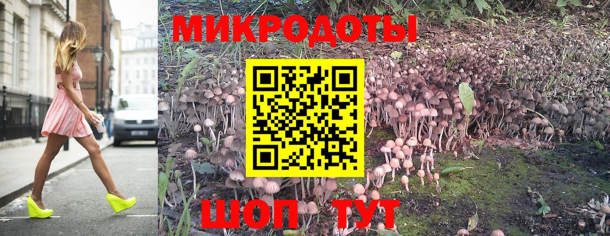 Псилоцибиновые грибы Psilocybine cubensis Кумертау